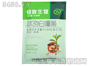 ���߰׽���-�G�]����