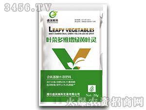 �~�˶�S���G�S�~�`-ʢ���߿�