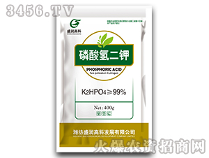 �������-ʢ���߿�