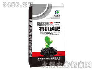 �ЙC̼��-ʢ���߿�