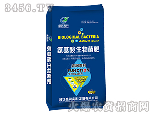 �������������-ʢ���߿�