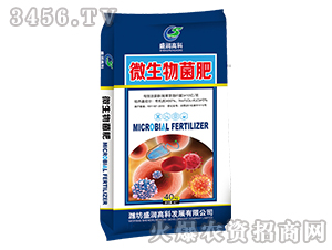 ΢�������-ʢ���߿�