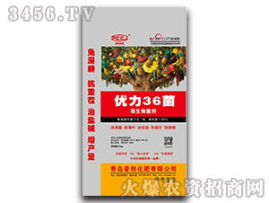 ΢�������-��(y��u)��36��-�Մ�(chu��ng)����