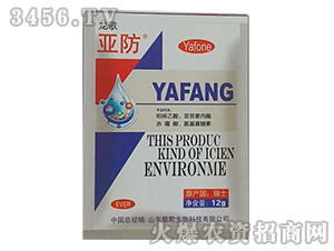 ����-����