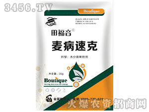 �����ٿ˚�����-���o�l(w��i)-����