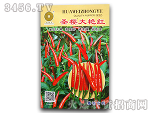 ʥ�Ѵ��G�t-�����N��-�A��N�I(y��)