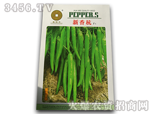 ���㺼F1-�����N��-�A��N�I(y��)