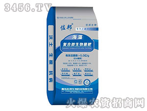 �ͺ�΢�������-��������