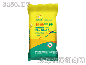 ��Ч������(f��)�����20-20-10-�������h(hu��n)-���S