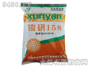 浚研158-玉米種子-良玉農(nóng)業(yè)