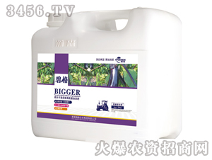 �ѹ����ø߷��ӏ�(f��)�����ЙC(j��)����Һ�ʣ����b��-�̸�-�ɭ