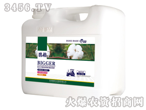 �޻����ø߷��ӏ�(f��)�����ЙC(j��)����Һ�ʣ����b��-�̸�-�ɭ