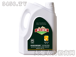 �̳Ȍ��ö������Ͼ�ĸҺ�ʣ����b��-�Ԡ��G��