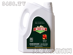 ��ݮ���ö������Ͼ�ĸҺ�ʣ����b��-�Ԡ��G��