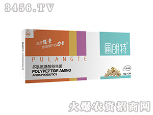 ��������-���İ�����������-������