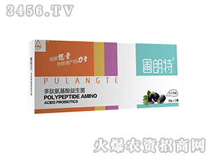 ��������-���İ�����������-������