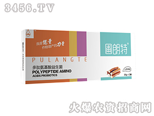 ɽˎ����-���İ�����������-������