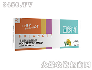 ˮ������-���İ�����������-������