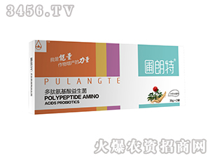 ��ˎ��ͨ��-���İ�����������-������