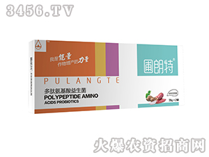 �K���o����-���İ�����������-������