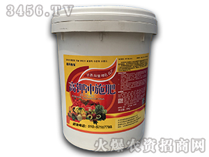 ��⛛_ʩ��20-10-30-�ο�ֲ��