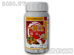 ֲ�����L�{(di��o)��(ji��)��-һ���t-�ο�ֲ�� 