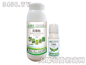 �����ˮ�鄩-���ŵ�-�G�µ�