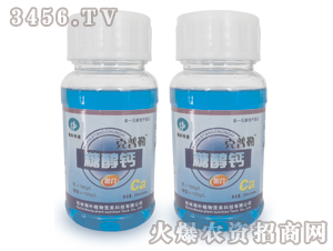 �Ǵ��}-����