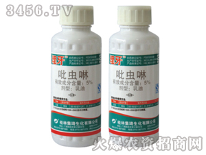 5%���x������-����-����