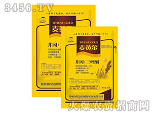 井崗·三唑酮?dú)⒕鷦?麥黃金-沙隆達(dá)