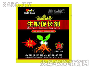 �������L(zh��ng)��-�ְ�