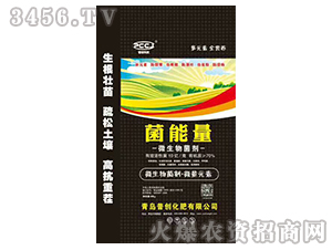 ������-΢�������-�Մ�(chu��ng)�Ƽ�