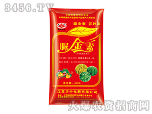 ����أ����򵪷��ͣ��t-����-�A�л���