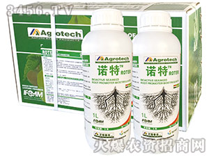 ������-�Z��-����̩��