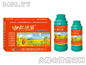 �Ͳˡ����տ����àI(y��ng)�B(y��ng)���a(ch��n)�{(di��o)�턩-�Ƶ�