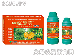 �㽶���àI�B(y��ng)���a(ch��n)�{(di��o)�턩-�Ƶ�