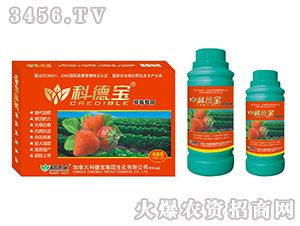 ��ݮ���àI�B(y��ng)���a(ch��n)�{(di��o)�턩-�Ƶ�