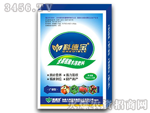 ����ֲ��ˮ�ܷ���-�Ƶ�