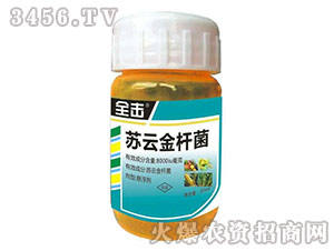 �K�ƽ�U���Ҹ���-ȫ��-�����r(n��ng)ˎ