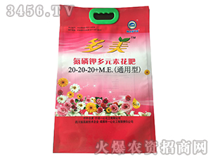 ����⛶�Ԫ�ػ���20-20-20+M.E.��ͨ���ͣ�-һ�Ļ���