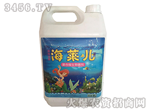 ��(f��)��΢�������-���R��-һ�Ļ���