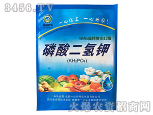 5�������������~���-һ�Ļ���