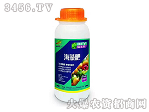 �����-���SԴ-����