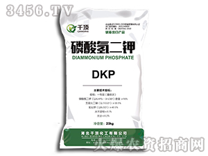 �������-ǧ�-ǧ픻���