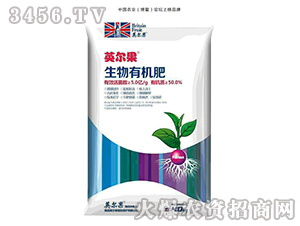 �����ЙC(j��)��-Ӣ����