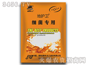 ���o�l(w��i)-��������-����