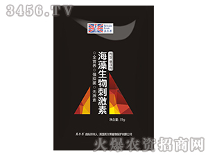 ��������̼���-Ӣ����