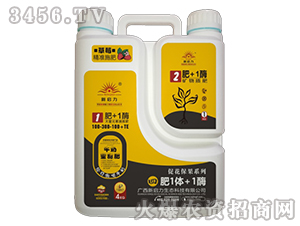 ����Ԫ�صι��100-300-100+TE-�ķ�1�w+1ø-����