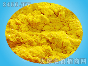 ���ϠI(y��ng)�B(y��ng)���Մ�-�(y��ng)�ⴺ��