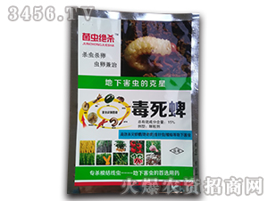 15%�������w����-���x�^��-���r�I(y��)